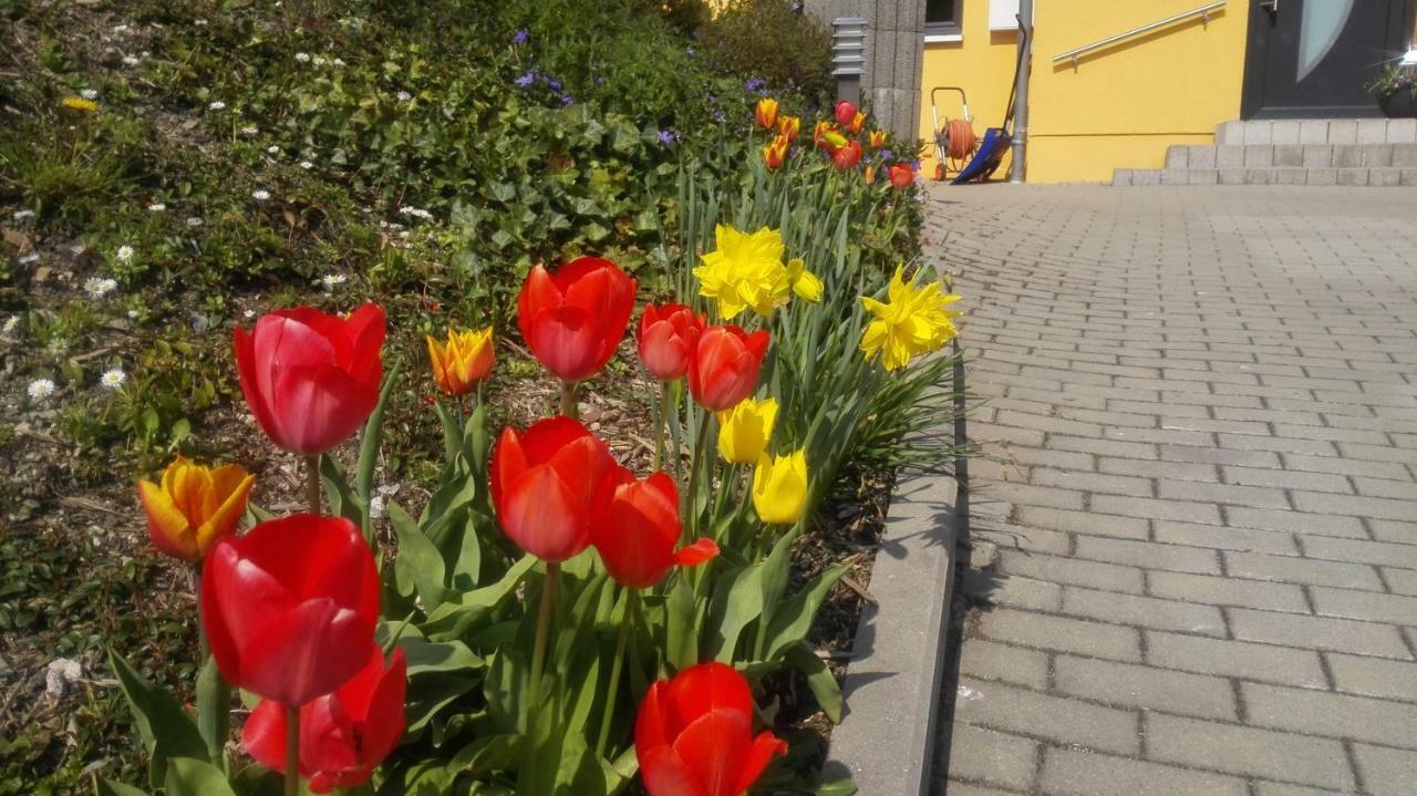 Ferienwohnung Oberpfannenstiel Bernsbach 外观 照片